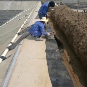 黑膜沼氣池土工膜   豬場沉淀池土工膜  豬場沉淀池防滲膜   養殖專用土工膜