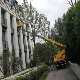 四川橋梁檢測車出租 橋梁檢測車租賃 路橋檢測車出租 路橋檢測車租賃