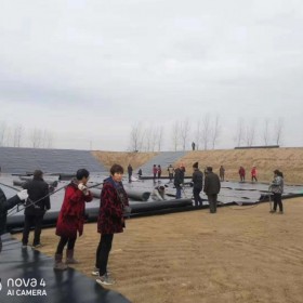 沼氣池專用黑膜  垃圾填埋場專用黑膜  泥鰍魚池養殖膜