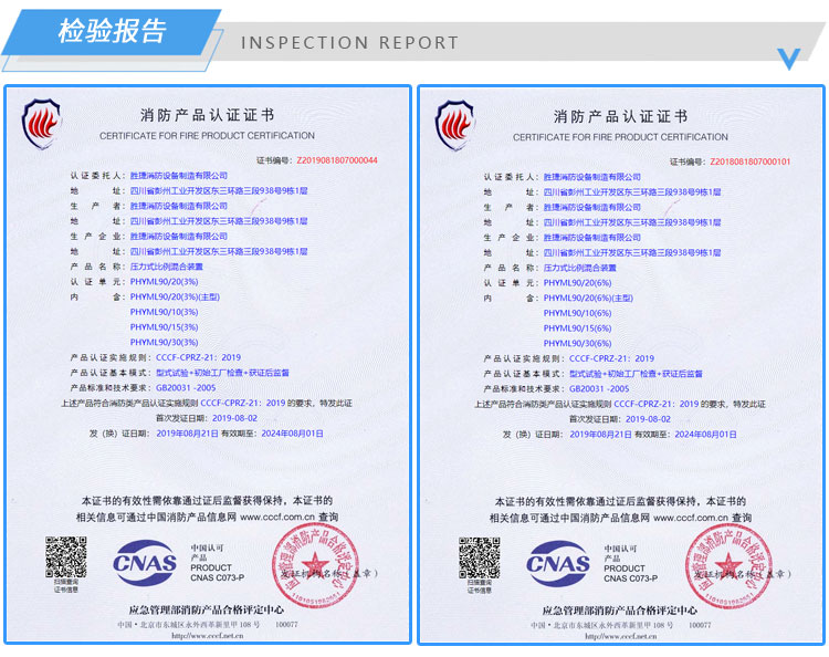 13.泡沫罐檢驗報告