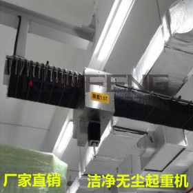 四川凈化工程無塵天車廠家,防靜電無塵天車,無塵醫療醫用起重機設備