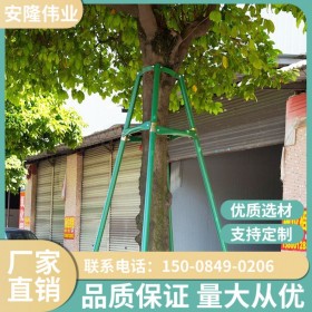 四川廠家園林綠化大樹苗木防風(fēng)支架樹木支撐架樹撐固定器園藝支撐桿鋼管