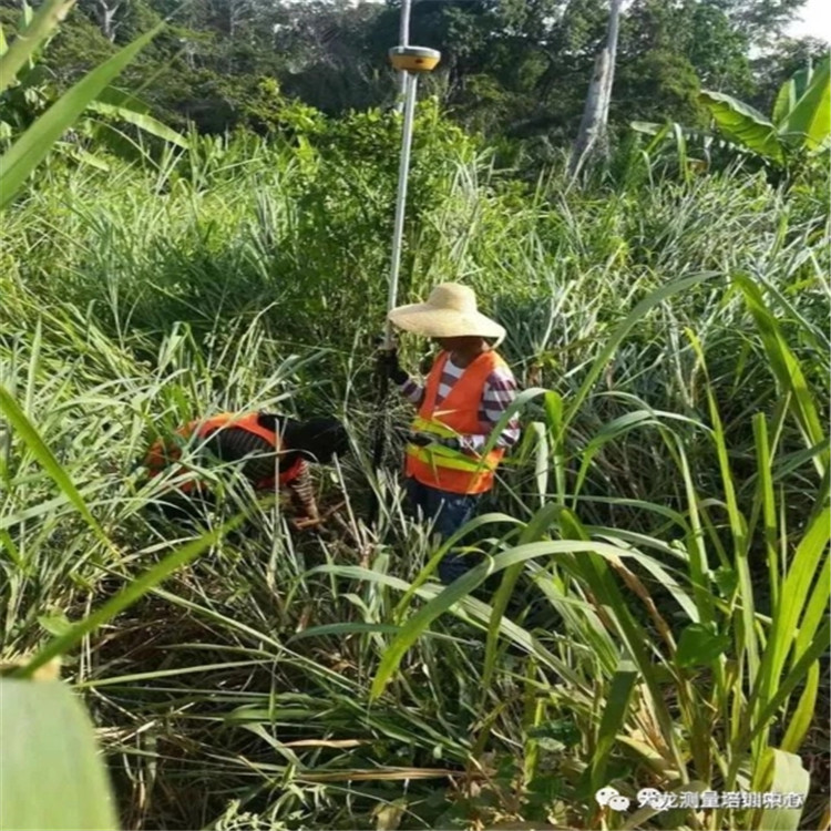 斷面測(cè)繪 縱斷面測(cè)量 專業(yè)工程測(cè)量團(tuán)隊(duì) 規(guī)劃定樁測(cè)量