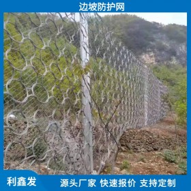 利鑫發-供應邊坡山體防護網-安全防護網-深耕邊坡工程防護