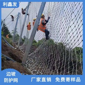 廠家現貨供應-公路邊坡被動防護網-環形邊坡防護網-山體邊坡防護網