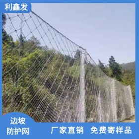 供應-山體滑坡邊坡防護網-路基邊坡防護網-利鑫發邊坡防護網工程