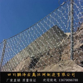 RXI-型環形被動防護網 防滾石山體滑坡鋼絲網 鵬澤定制