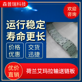 昆明煙機設備用荷蘭艾瑪拉Ammeraal盒煙箱輸送鏈板 龍骨鏈 品牌正宗