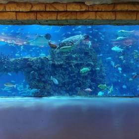 亞克力魚缸 大型工程魚缸定做 海洋館水族館魚缸廠家