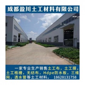 塑料土工格柵 路基加固加筋 堤壩補強瀝青路面使用