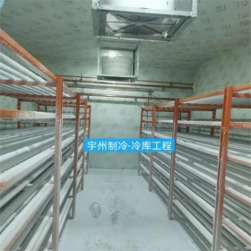 成都冷凍速凍庫設(shè)計安裝 冷庫工程建造 廠家直銷