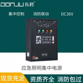 廣東東君照明 應急照明配電箱 A型36V 消防通訊聯動 雙電源 500W 分配電裝置 DJ-PD-36