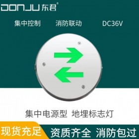 廣東東君照明 地面標志燈 地埋式 3W 防水 智能消防應急疏散指示 雙向 A型36V 集中電源 可變向 集中控制 DJ-01N