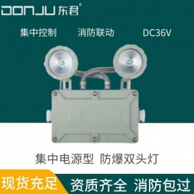 廣東東君照明 防爆雙頭燈 應急照明 壁掛 DC36V 智能聯動 IP65 集中電源 DJ-02I