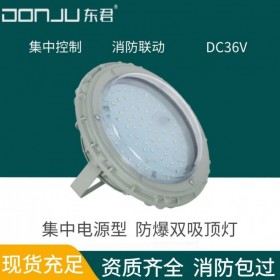 廣東東君照明 防爆應急吸頂 照明燈 IP65 防腐圓形 36V 全鋁 鋼化玻璃 集中電源型 智能照明 DJ-08C