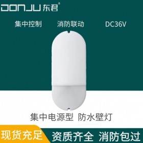 廣東東君照明 防水壁燈 應急照明燈 壁掛 防潮 防塵 IP65 集電 36V 聯動 DJ-03M