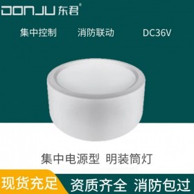 廣東東君照明 明裝筒燈 5W 智能消防應急照明 吸頂燈 A型36V 集中電源型 DJ-05M