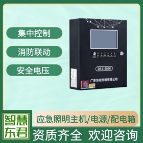 智能主機電源 智能照明疏散裝置電源控制器 緊急照明配電箱 EPS 應急照明控制器 消防聯動 A型