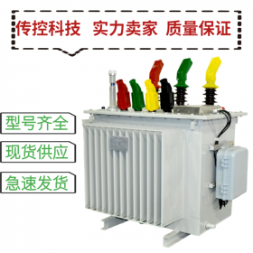 高壓電力設備安裝,S11型銅160KVA,現貨供應,傳控科技