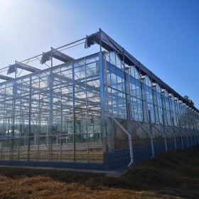 德農川建造鍍鋅鋼管溫室大棚 尖頂耐用型蔬菜大棚