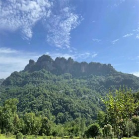 鳳凰陵園公墓單碑陵園墓地雙人碑刻字石碑公墓套碑