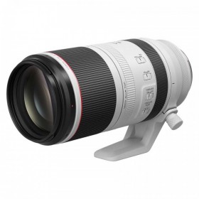 RF100-500mm F4.5-7.1 L IS USM   覆蓋500mm遠攝區域的5倍大變焦L級鏡頭商城正式發售!