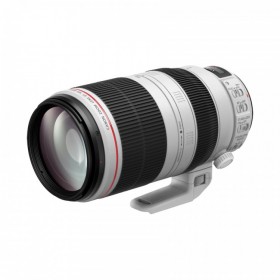 佳能 EF 100-400mm f/4.5-5.6L IS II USM 兼顧高畫質與操作性的L級遠攝變焦鏡頭