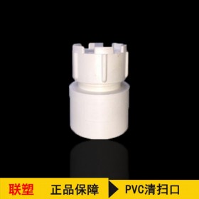 聯(lián)塑PVC清掃口 排水管配件PVC清掃口 排水管管材配件 堵頭