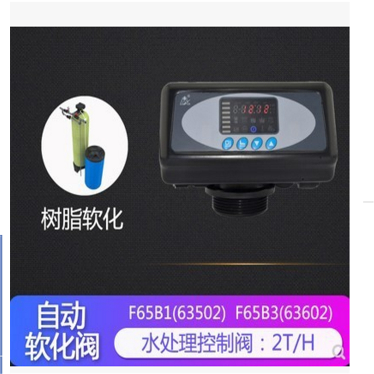 潤新F65B1軟化時間控制器