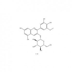 【樂美天】矮牽牛素-3-O-葡萄糖苷 CAS No：6988-81-4	HPLC≥95%  5mg/支 中藥對照品標(biāo)準(zhǔn)品