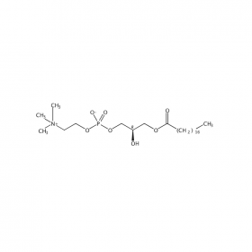 【樂美天】溶血磷脂酰膽堿（lysophosphatidylcholine） | CAS No：19420-57-6  GC≥98% 25mg/支中藥對照品標(biāo)準(zhǔn)品