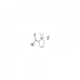 鹽酸水蘇堿 ｜ CAS No：4136-37-2	HPLC≥98%	20mg/支 分析標準品/對照品