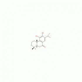 【樂美天】11-羥基柳杉酚（11-hydroxy-sugiol） | CAS No：88664-08-8	HPLC≥98%  5mg/支 分析標(biāo)準(zhǔn)品/對(duì)照品