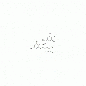 【樂美天】兒茶素沒食子酸酯 ｜ CAS No：130405-40-2   HPLC≥98%   20mg/支分析標準品對照品