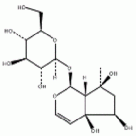 DH0059	哈巴苷	6926-08-5	 HPLC≥98%	20mg/支  分析標準品/對照品