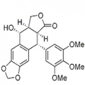 DK0031	苦鬼臼毒素	477-47-4	HPLC≥98% 	20mg/支 中藥對照品 標準品