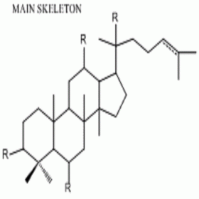 【樂美天】三七總皂苷	HPLC≥80%  100mg/支 分析標準品/對照品