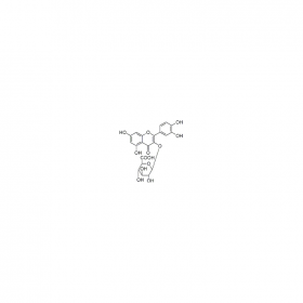 【樂美天】槲皮素-3-O-β-D-吡喃葡糖苷酸；槲皮素-3-葡萄糖醛酸苷 CAS No：22688-79-5  HPLC≥98%  20mg/支