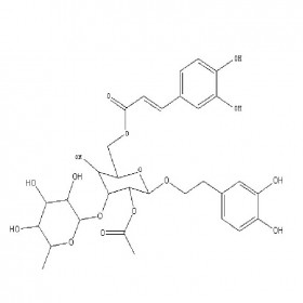 【樂美天】管花苷B 112516-04-8  HPLC≥98%  20mg/支 分析標準品/對照品