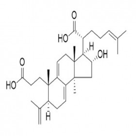 【樂美天】茯苓新酸B 137551-39-4  HPLC≥95% 20mg/支分析標(biāo)準(zhǔn)品/對照品