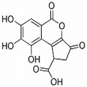 短葉蘇木酚酸 18490-95-4 HPLC≥97% 10mg/支標準品/對照品