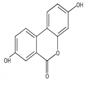 【樂美天】尿石素A  1143-70-0  HPLC≥98%  20mg/支 分析標(biāo)準(zhǔn)品/對照品