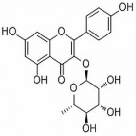 【樂(lè)美天】阿福豆苷 （山奈酚-3-O-吡喃鼠李糖苷）482-39-3  HPLC≥98%  10mg/支標(biāo)準(zhǔn)品/對(duì)照品