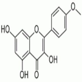 【樂美天】山柰素 491-54-3	HPLC≥98%  20mg/支標準品/對照品