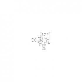 【樂美天】管花苷A（Tubuloside A）  CAS No：112516-05-9   HPLC≥98%  20mg/支 分析標準品/對照品