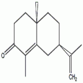 【樂美天】α-香附酮	473-08-5	HPLC≥98% 0.15ml/支  分析標準品/對照品