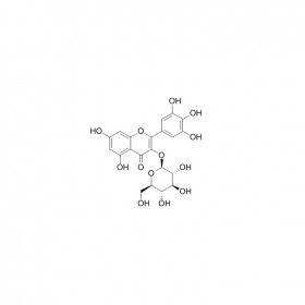 【樂美天】楊梅素-3-O-β-D-葡萄糖苷   CAS No：19833-12-6 	HPLC≥98%  5mg/支分析標準品對照品