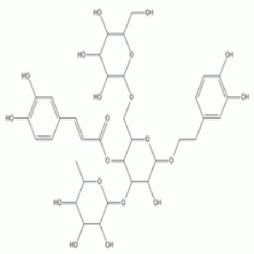 松果菊苷82854-37-3 HPLC≥98% 20mg/支 分析標準品/對照品