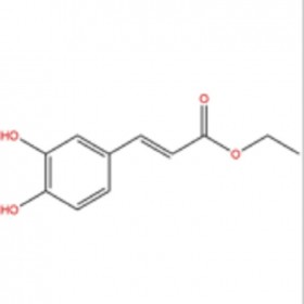 咖啡酸乙酯102-37-4 HPLC≥98%  20mg/支 分析標準品/對照品