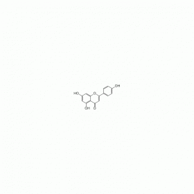 【樂美天】芹菜素 ｜ CAS No：520-36-5  HPLC≥98%  20mg/支分析標準品/對照品